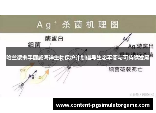 哈兰德携手挪威海洋生物保护计划倡导生态平衡与可持续发展