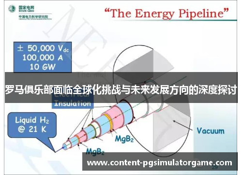 罗马俱乐部面临全球化挑战与未来发展方向的深度探讨