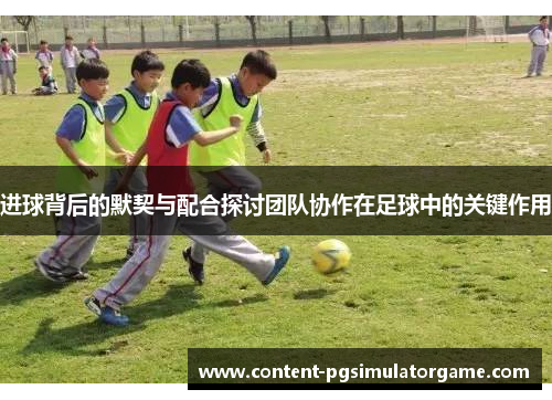 进球背后的默契与配合探讨团队协作在足球中的关键作用