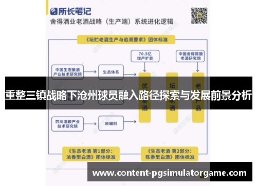 重整三镇战略下沧州球员融入路径探索与发展前景分析