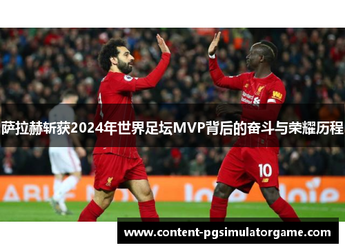 萨拉赫斩获2024年世界足坛MVP背后的奋斗与荣耀历程