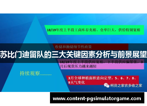 苏比门迪留队的三大关键因素分析与前景展望