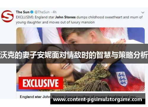 沃克的妻子安妮面对情敌时的智慧与策略分析