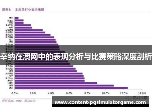 辛纳在澳网中的表现分析与比赛策略深度剖析