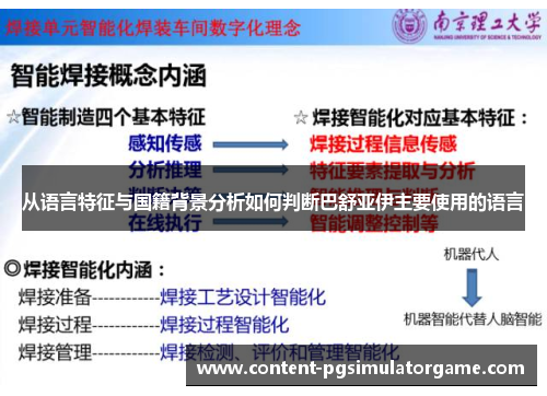 从语言特征与国籍背景分析如何判断巴舒亚伊主要使用的语言