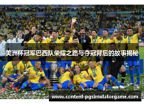 美洲杯冠军巴西队荣耀之路与夺冠背后的故事揭秘