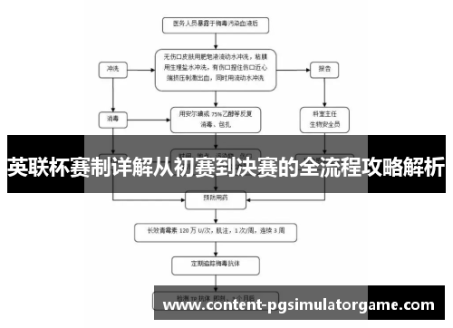 英联杯赛制详解从初赛到决赛的全流程攻略解析