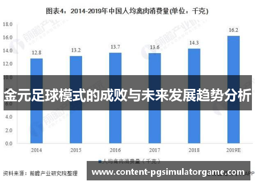 金元足球模式的成败与未来发展趋势分析