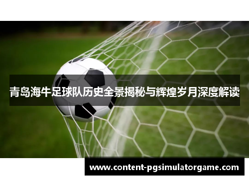 青岛海牛足球队历史全景揭秘与辉煌岁月深度解读