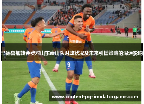 马德鲁加转会费对山东泰山队财政状况及未来引援策略的深远影响