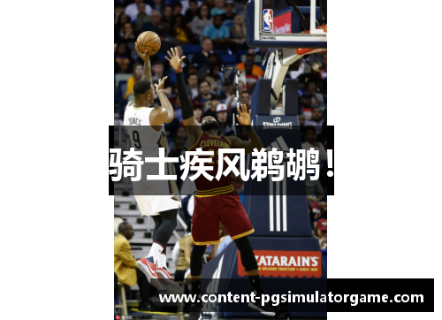 骑士疾风鹈鹕！