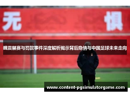 魏震禁赛与罚款事件深度解析揭示背后隐情与中国足球未来走向