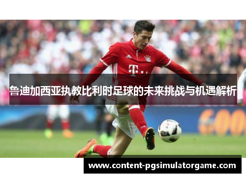 鲁迪加西亚执教比利时足球的未来挑战与机遇解析