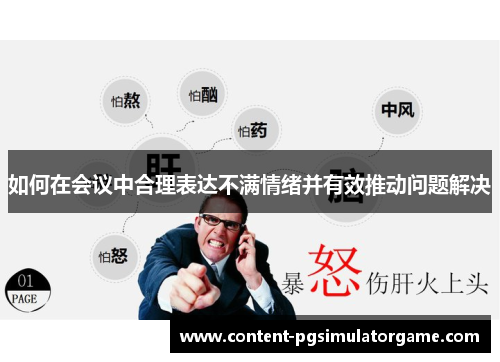 如何在会议中合理表达不满情绪并有效推动问题解决