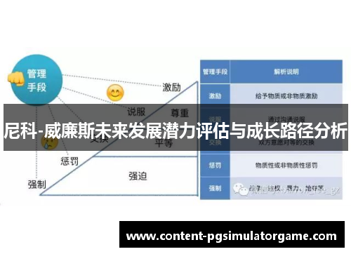 尼科-威廉斯未来发展潜力评估与成长路径分析