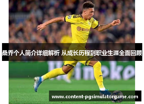 桑乔个人简介详细解析 从成长历程到职业生涯全面回顾