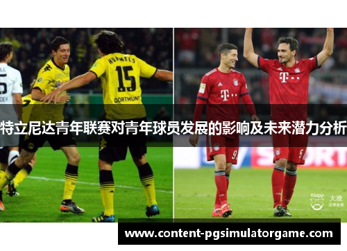 特立尼达青年联赛对青年球员发展的影响及未来潜力分析