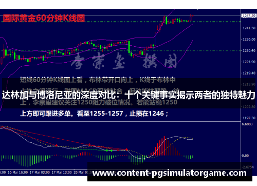 达林加与博洛尼亚的深度对比：十个关键事实揭示两者的独特魅力