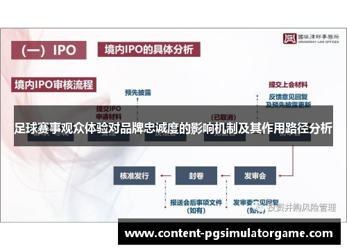 足球赛事观众体验对品牌忠诚度的影响机制及其作用路径分析